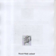 Zdenko tekl: Skaut-Mal zedn