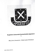 Mary Anne Atwoodov� - Walter Leslie Wilmshurst: Sugestivn� zkoum�n� hermetick�ho tajemstv� I.